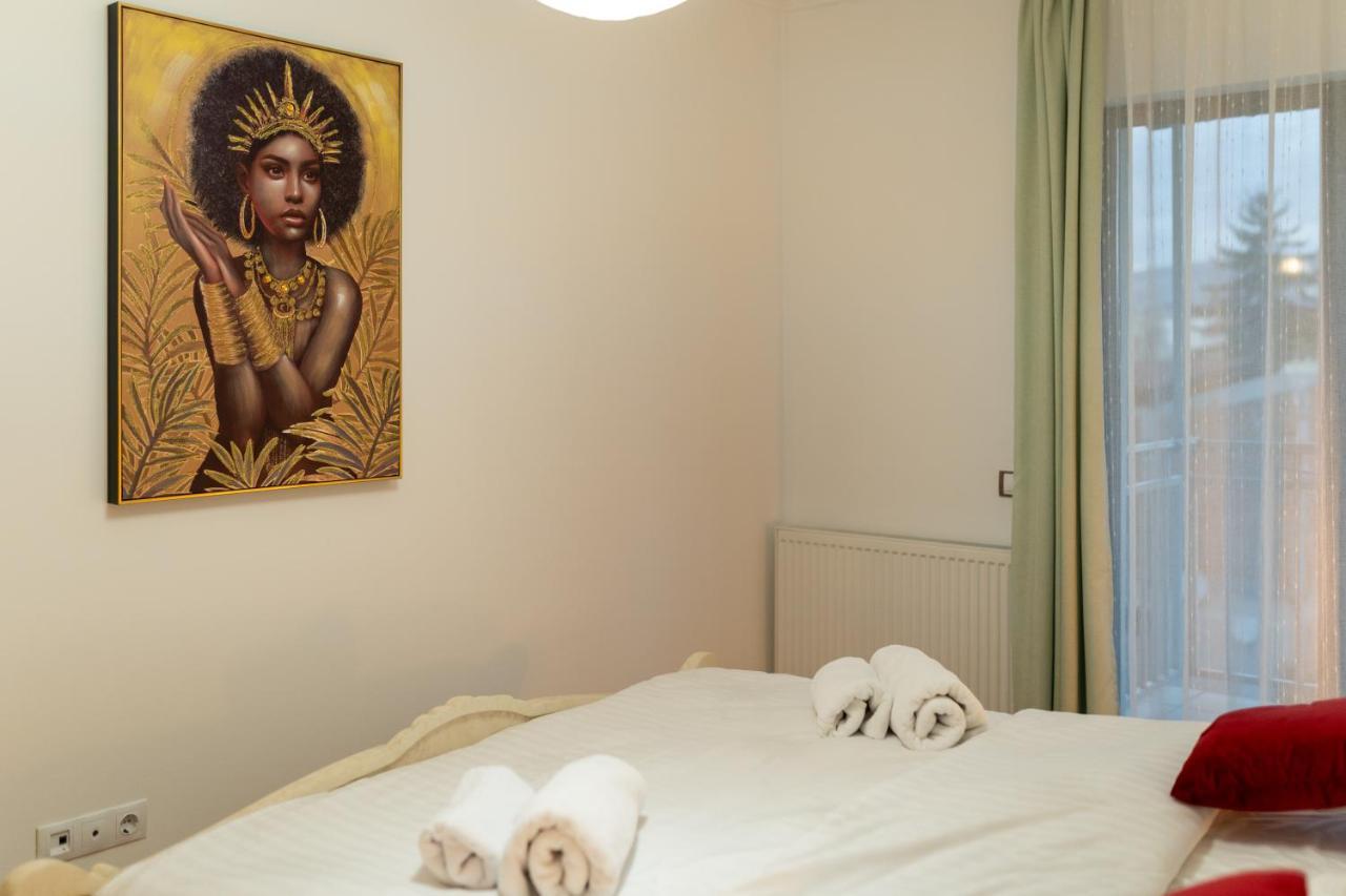 Spacious 3 5* Mansion Near Muzeului Square. Free Parking * Cluj-Napoca